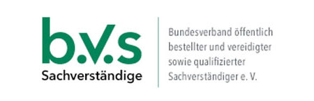 Logo BVS